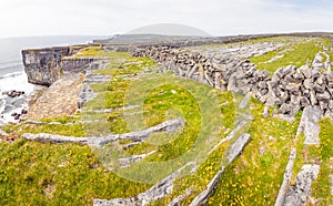 Aran islands nature