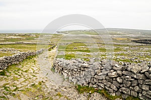 Aran islands nature