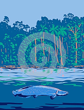 Arapaima in the Amazon River or Rio Amazonas in South America WPA Art Deco Poster photo