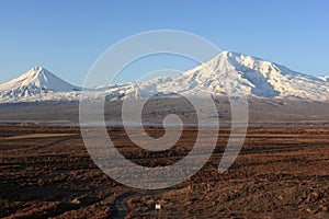 Ararat