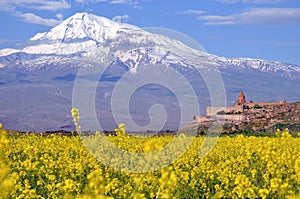 Ararat in Armenia photo