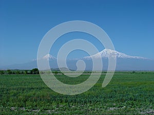 Ararat mountain.