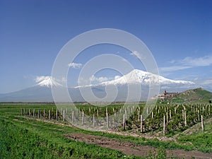 Ararat Mountain, Armenia photo