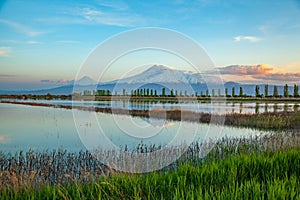 Ararat mountain with lake in sunset