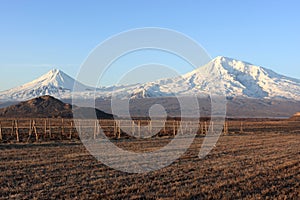 Ararat valley at daybreak