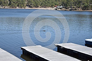 Arareco Lake photo