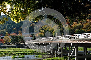 Arashiyama photo