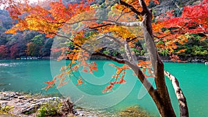 Arashiyama in autumn season along the river in Kyoto, Japan