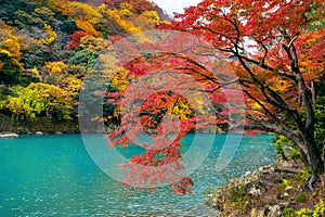 Arashiyama in autumn season along the river in Kyoto, Japan