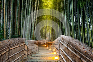 Arashiyama Bamboo Forest