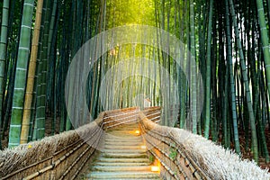 Arashiyama Bamboo Forest