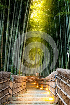 Arashiyama Bamboo Forest