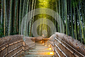 Arashiyama Bamboo Forest photo