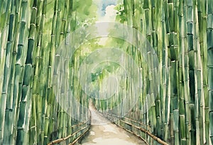 Arashiyama bamboo forest watercolor in kyoto japan