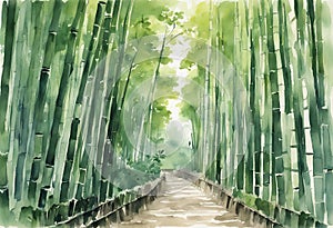 Arashiyama bamboo forest watercolor in kyoto japan