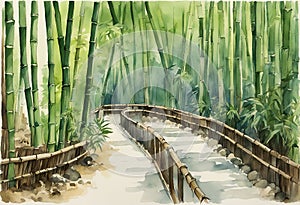 Arashiyama bamboo forest watercolor in kyoto japan