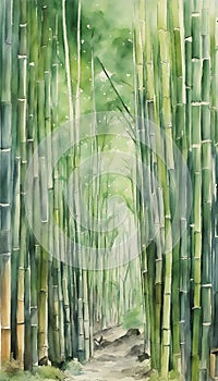 Arashiyama bamboo forest watercolor in kyoto japan