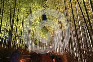 Arashiyama Bamboo Grove Zen garden light up at night