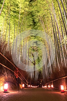 Arashiyama Bamboo Grove Zen garden light up at night