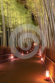 Arashiyama Bamboo Grove Zen garden light up at night