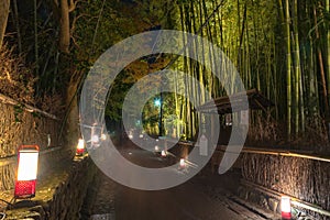 Arashiyama Bamboo Grove Zen garden light up at night