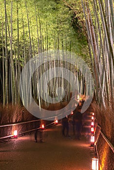 Arashiyama Bamboo Grove Zen garden light up at night