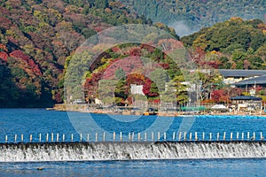 Arashiyama in beautiful autumn season colours.