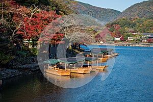 Arashiyama in beautiful autumn season colours.