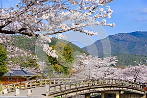 Arashiyama, Kyoto in Spring photo