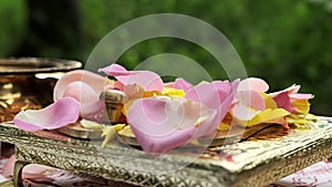 Arathi ritual. Rose for offering to the deity