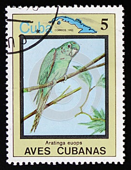 Aratinga euops, the series `Cuban Birds`, circa 1983