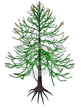 Araucaria prehistoric tree - 3D render