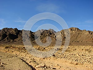 Arava desert