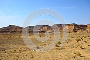 Arava Desert
