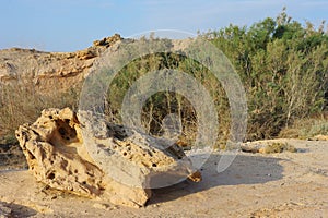 Arava desert in the first rays of the sun