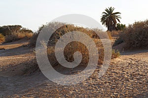 Arava desert in sunset twilight time