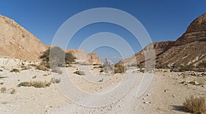 Arava desert travel in Israel photo