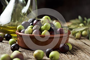 Arbequina olives from Catalonia, Spain photo