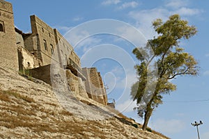 Arbil Castle