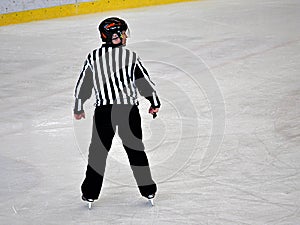 Arbitrators the hockey