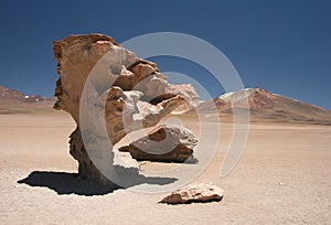 Arbol de Piedra photo