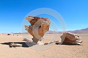 Arbol de piedra, Bolivia