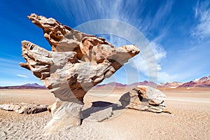 Arbol de Piedra in Bolivia