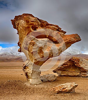 Arbol de Piedra, Siloli desert - Bolivia photo