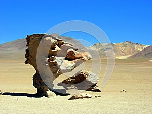Arbol de piedra, Siloli desert, PotosÃ­ department, Bolivia