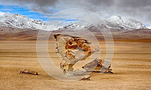 Arbol de Piedra, Siloli desert & x28;bolivia& x29; photo