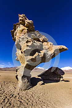 Arbol de Piedra a stone with the form of a tree at Siloli Desert on the way to Salar de Uyuni, Bolivia, South America