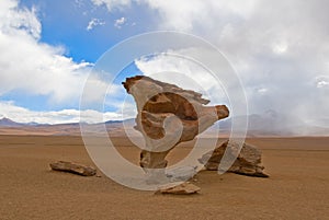 Arbol de piedra, stone tree photo