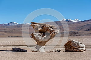 Arbol de Piedra or Stone tree, Altiplano, Bolivia