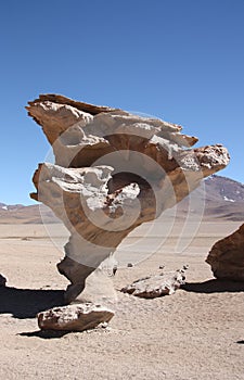 Arbol de Piedra, Stone Tree in Atacama Desert, Bolivia photo